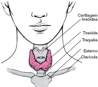 imagine cu tiroiditele